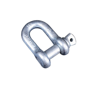 European Bow Shackle with Screw Rigging with Screw Collar Pin D Shackle Type Fixed Bail Swivel Eye Snap Shackles