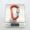 High Quality Aluminium Snap Hook With Lock Snap Nut Buckle Lightweight for Outdoor