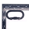 25KN Outdoor Oval Shape Sports Screw Locking Carabiner with Screw Safety Carabine for Hiking Hammock EN362 manufacture