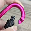 High Quality Aluminium Hook D Style Carabiner for Keychain Customized Color