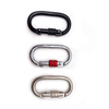 25KN Outdoor Oval Shape Sports Screw Locking Carabiner with Screw Safety Carabine for Hiking Hammock EN362 manufacture