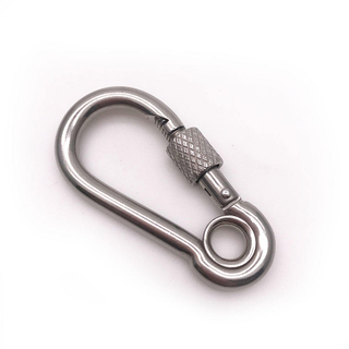 BT-2450S Stainless Steel 304 Climbing Carabiner With Screw and Eye Snap Hook Caribiners