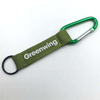 Promotional Terylene Webbing Aluminum D Shape Small Carabiner Clip Hook Carabiner Keychain Custom Logo Key Strap