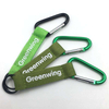 Promotional Terylene Webbing Aluminum D Shape Small Carabiner Clip Hook Carabiner Keychain Custom Logo Key Strap