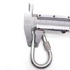 Stainless Steel Snap Hook with Screw Lock Heavy Duty Spring Buckle for Rock Climbing,Outdoor