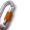 High Quality D-shaped Aluminum Carabiners Safety Hook with Screw for Rock Climbing Hiking Camping